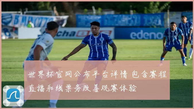 世界杯官网公布平台详情 包含赛程直播和线票务改善观赛体验