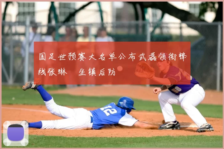 国足世预赛大名单公布武磊领衔锋线张琳芃坐镇后防