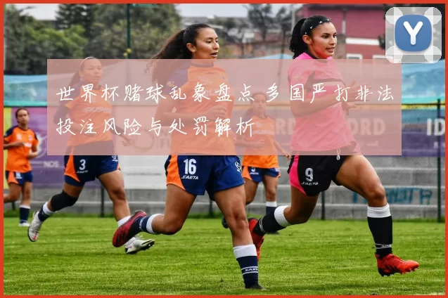 世界杯赌球乱象盘点 多国严打非法投注风险与处罚解析